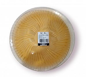 PLATO PLAYO COSMOS PLUS AMBAR DURAX 25CM